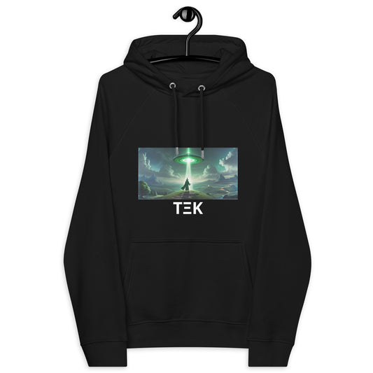 Looking Glass hoodie